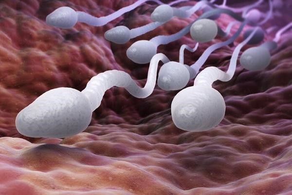 �����ۺ�����ǰ�еĸ�����ֳ���ķ�����ʵ¼(��)