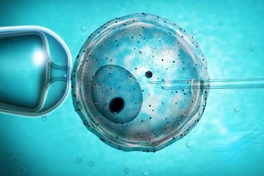 �辫�����̰���