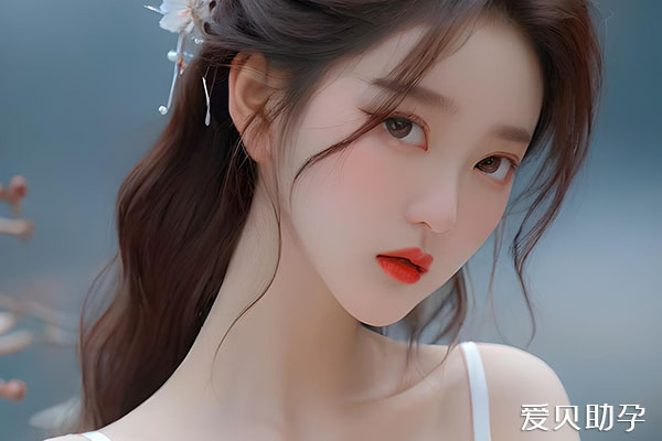 2024����ڱȽϴ�ģ���������������л������ļң�